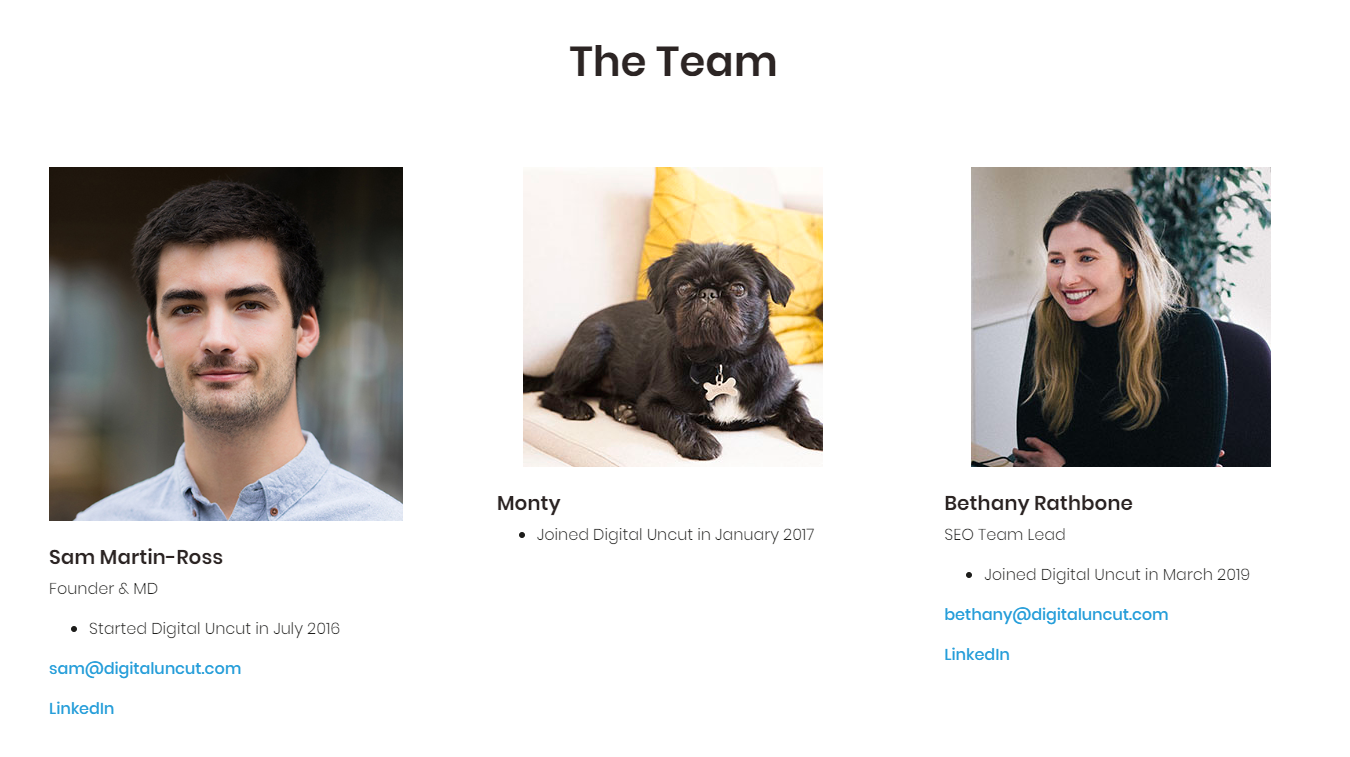 The Best Team Pages on Websites: Best Examples